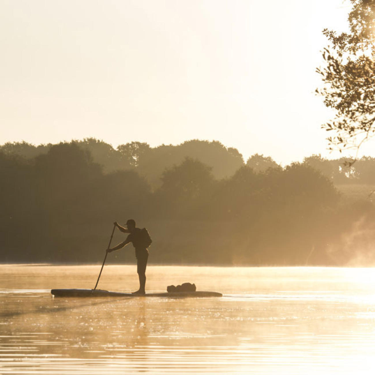 EARTH SUP NOVA SCOTIA